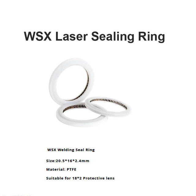 حلقة الختم بالليزر WSX D20.5