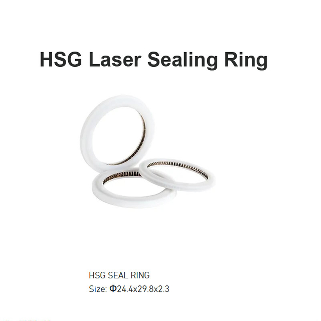 حلقة الختم بالليزر HSG D24.4