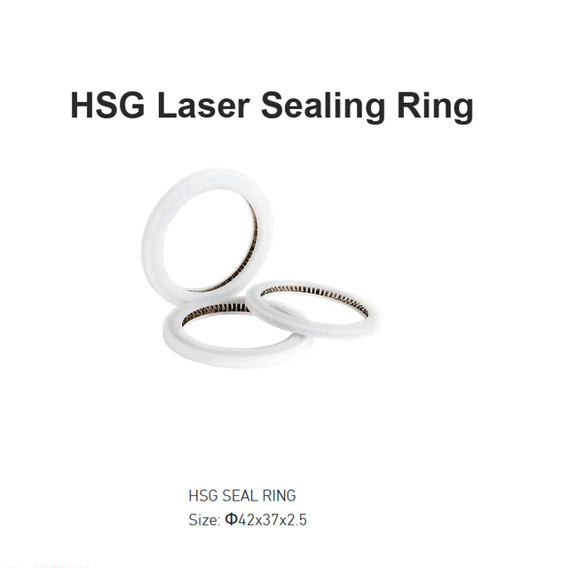 حلقة الختم بالليزر HSG D42